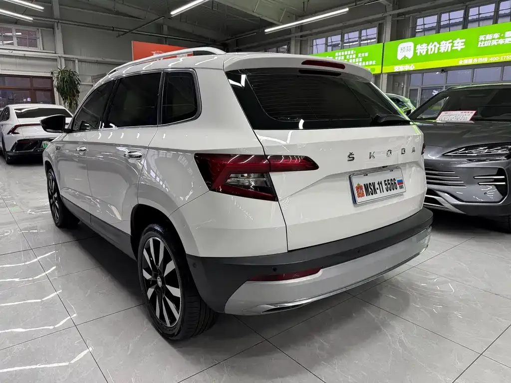 Skoda Karoq 2021 из CN, фото 4