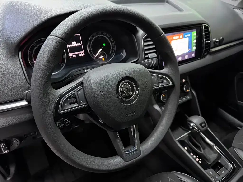 Skoda Karoq 2021 из CN, фото 6