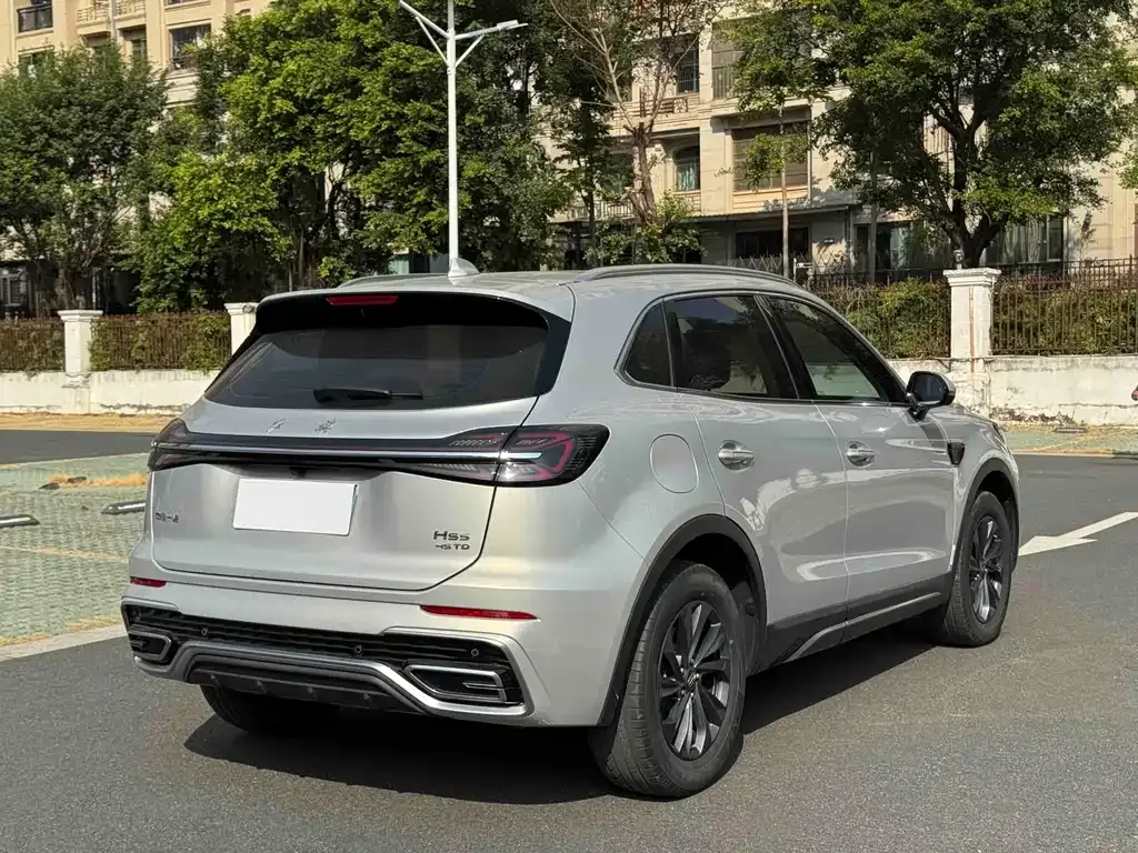 Hongqi HS5 2024 из CN, фото 4
