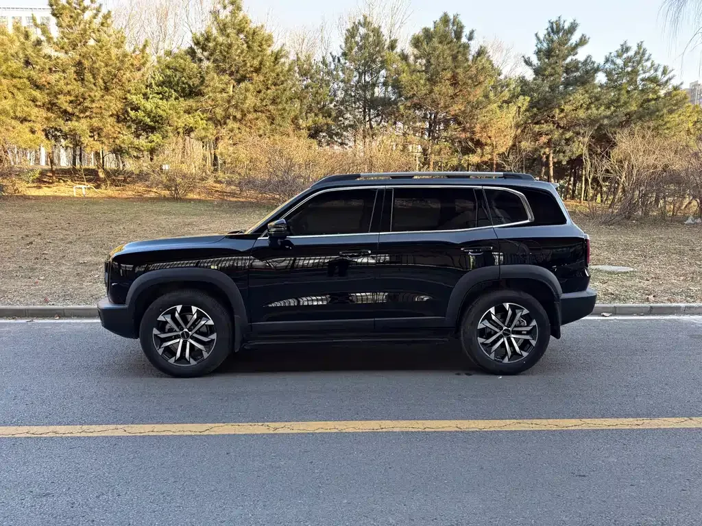 Haval Big Dog — фото 10
