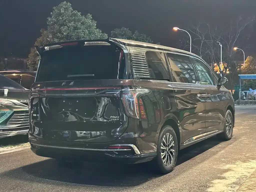 Hongqi HQ9 2024 из CN, фото 9