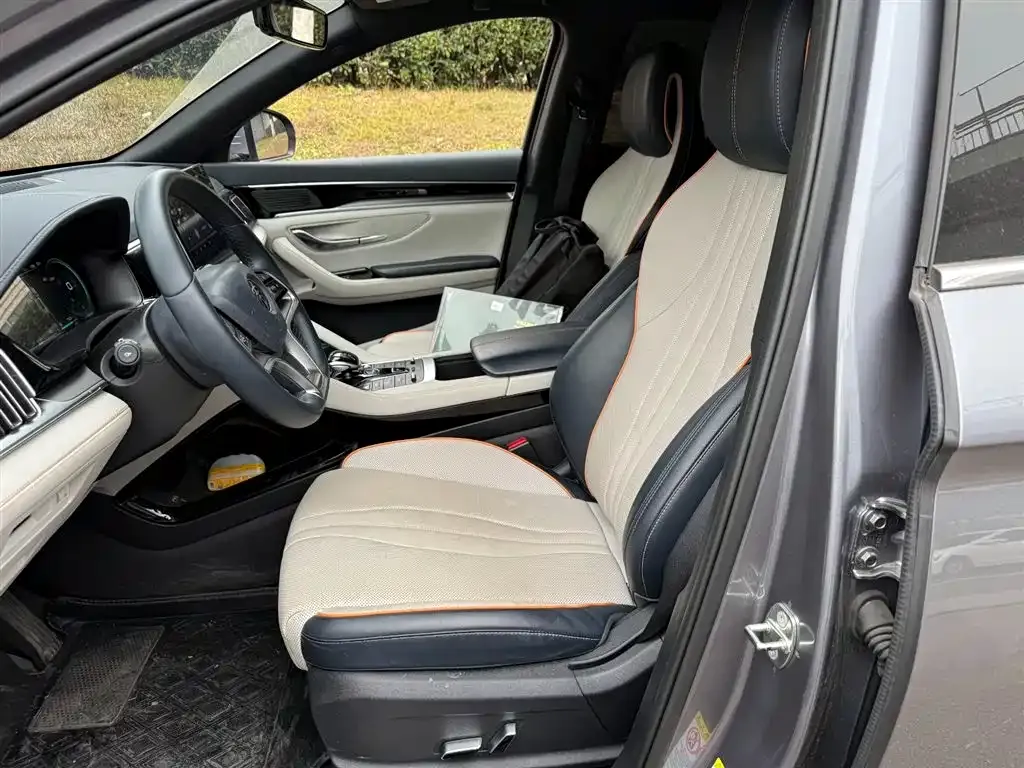 BYD PLUS New Energy — фото 10