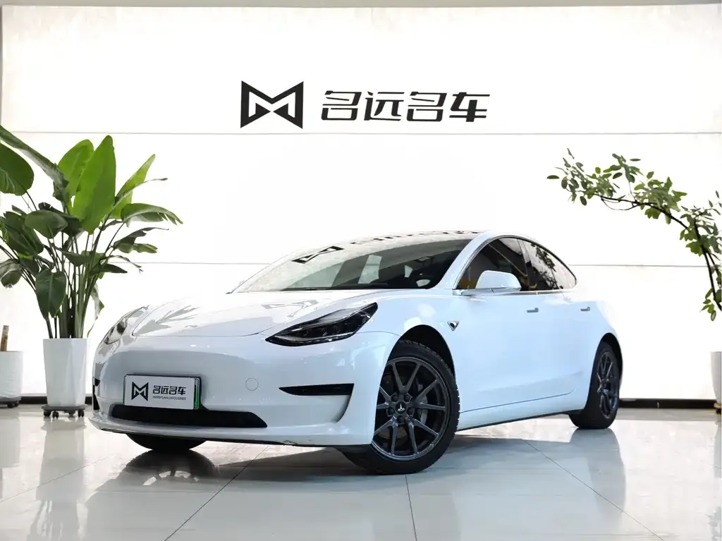 Tesla Model 3 2021 из CN, фото 1