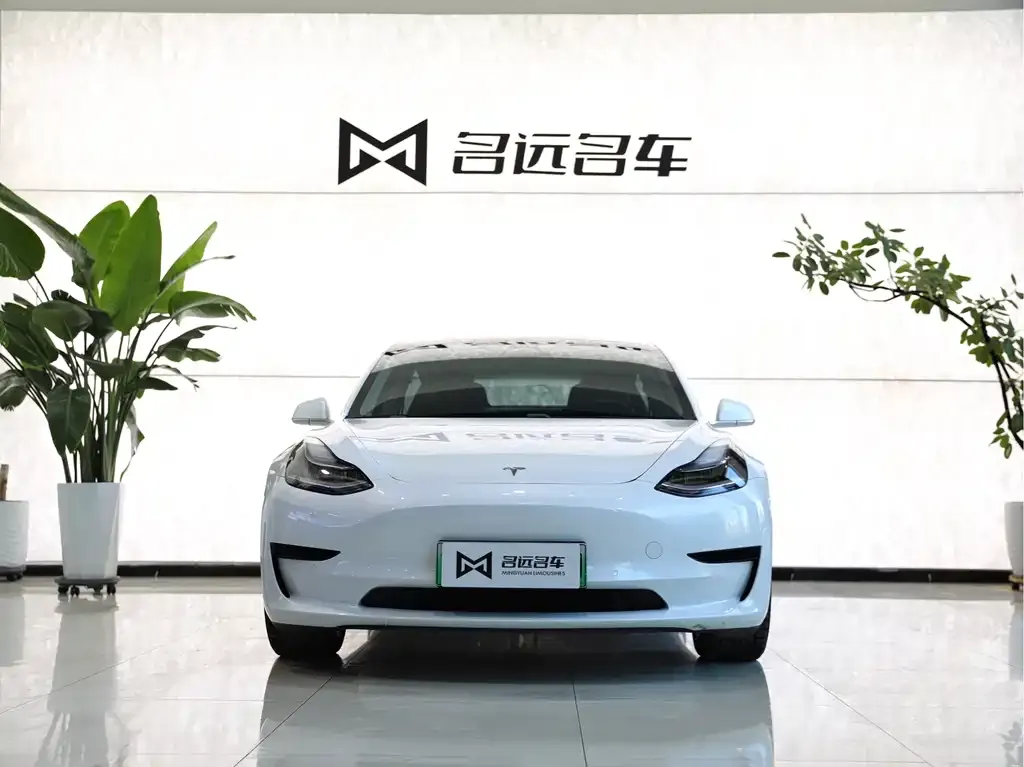 Tesla Model 3 2021 из CN, фото 3