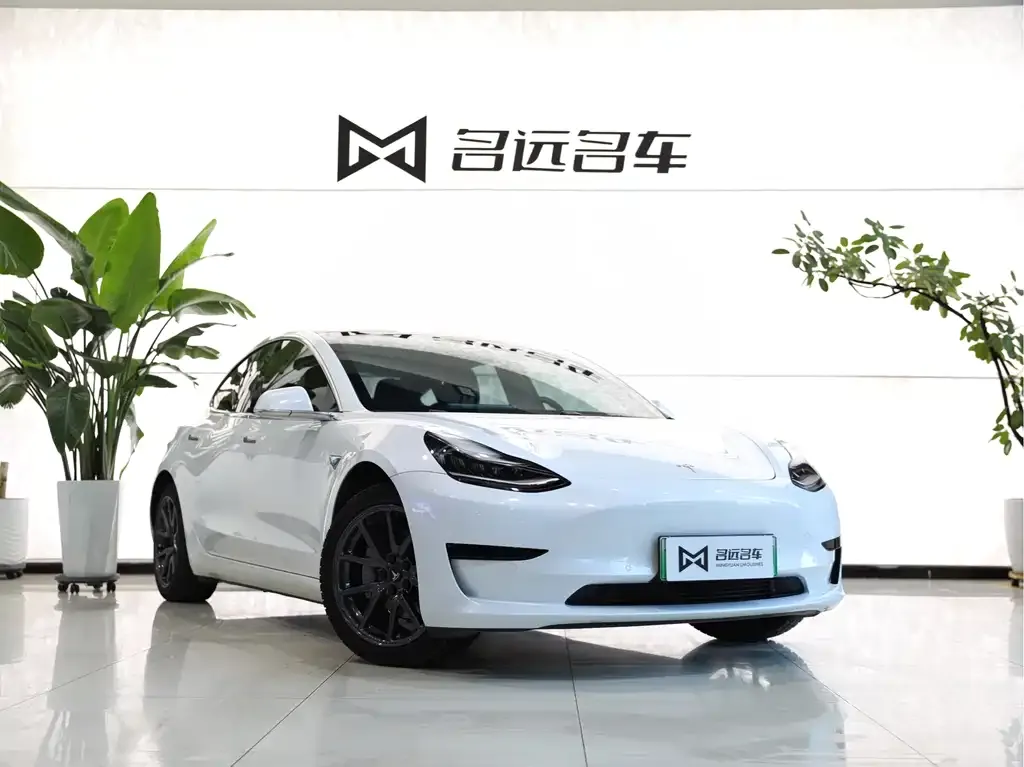 Tesla Model 3 2021 из CN, фото 4