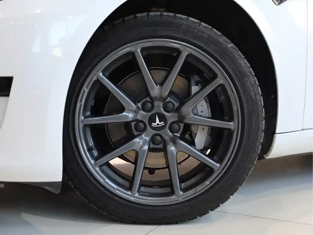 Tesla Model 3 2021 из CN, фото 7