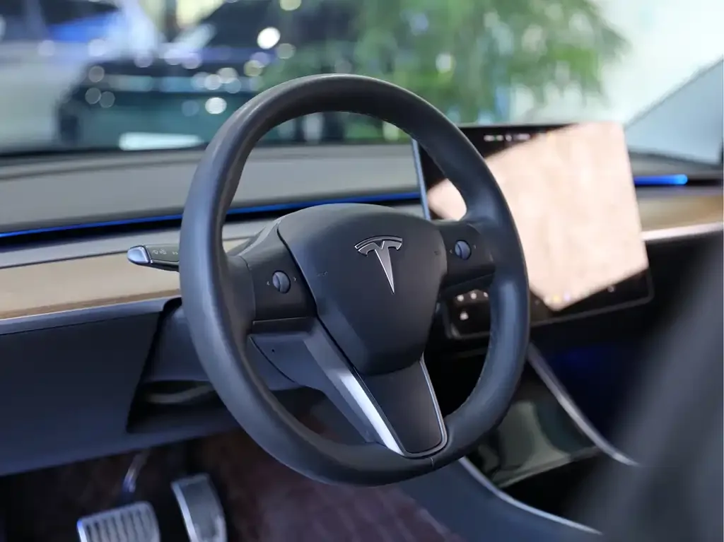Tesla Model 3 2021 из CN, фото 5