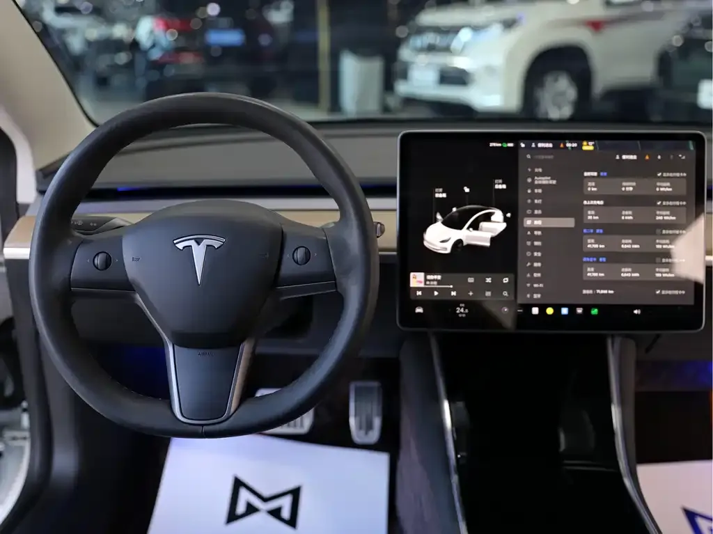 Tesla Model 3 2021 из CN, фото 2