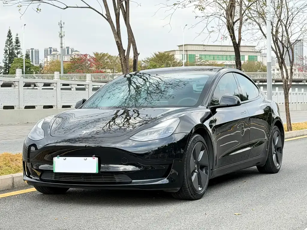 Tesla Model 3 2021 из CN, фото 1