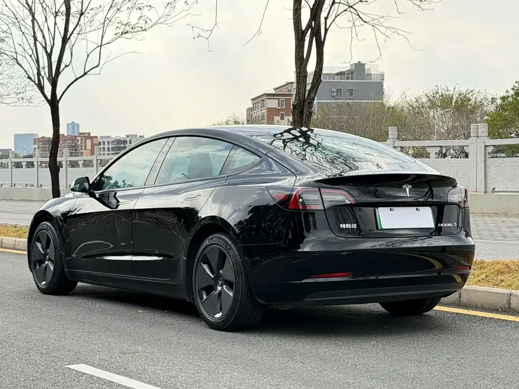 Tesla Model 3 2021 из CN, фото 6