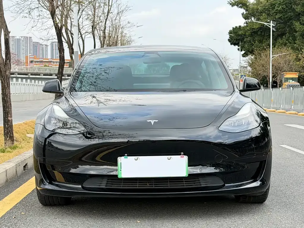 Tesla Model 3 2021 из CN, фото 10