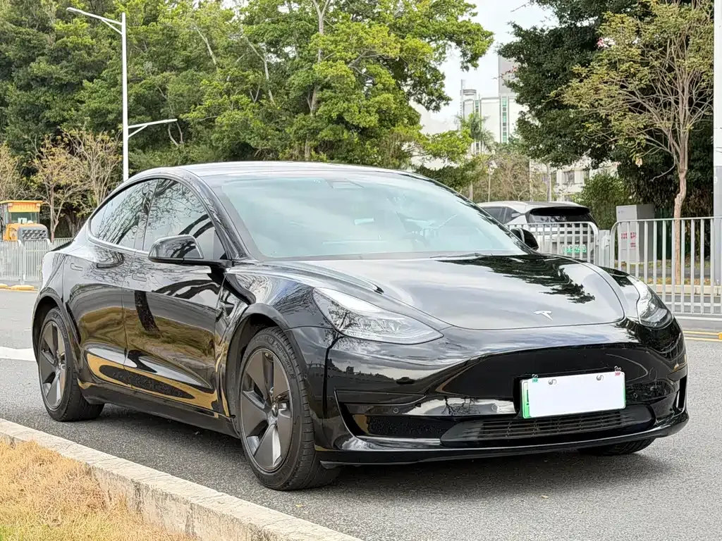 Tesla Model 3 2021 из CN, фото 3