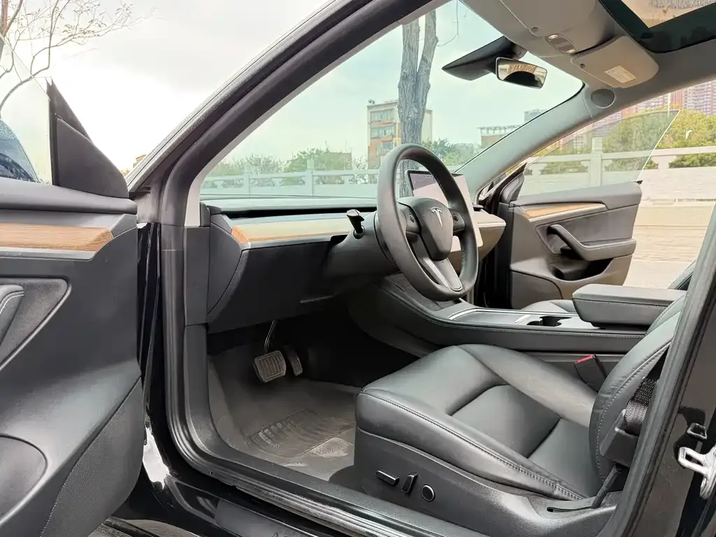 Tesla Model 3 2021 из CN, фото 7