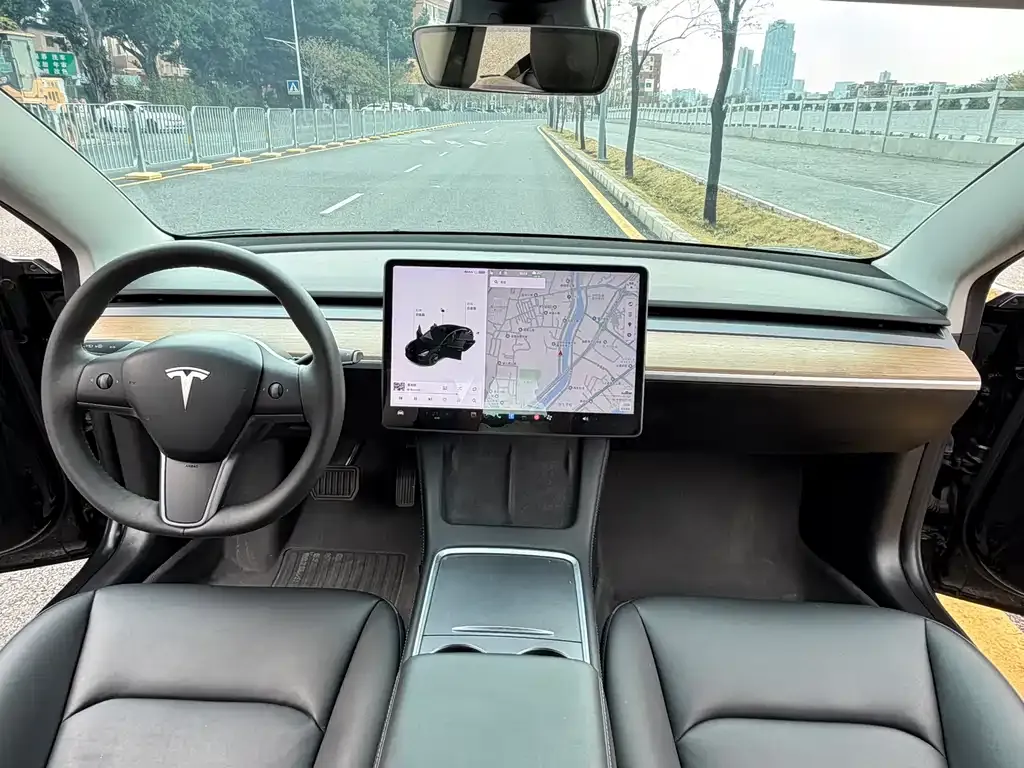 Tesla Model 3 2021 из CN, фото 4