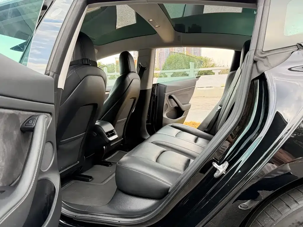 Tesla Model 3 2021 из CN, фото 9