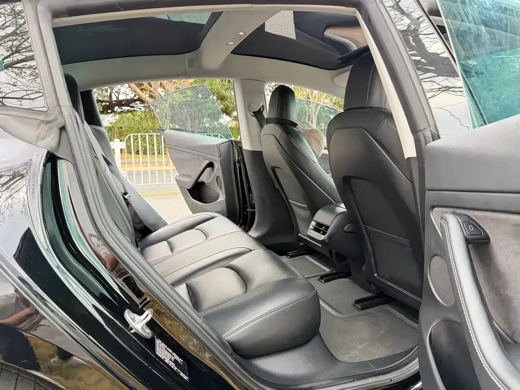 Tesla Model 3 2021 из CN, фото 5