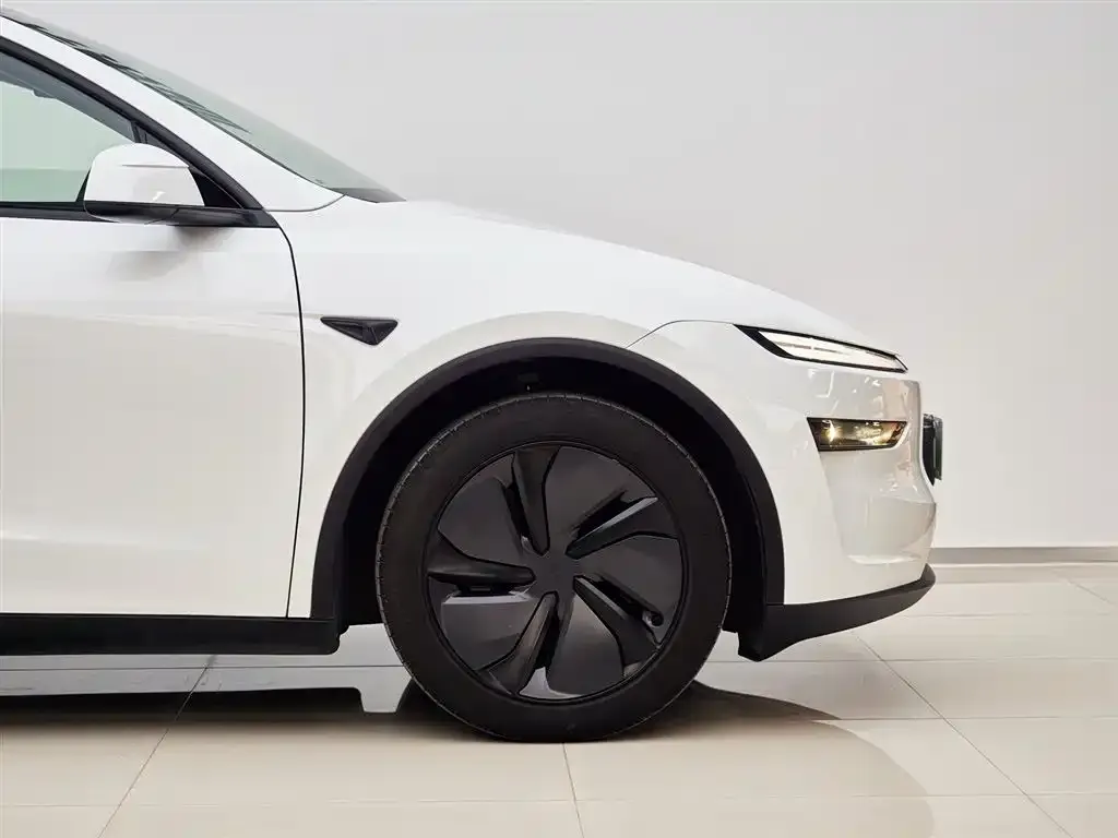 Tesla Model Y 2025 из CN, фото 4