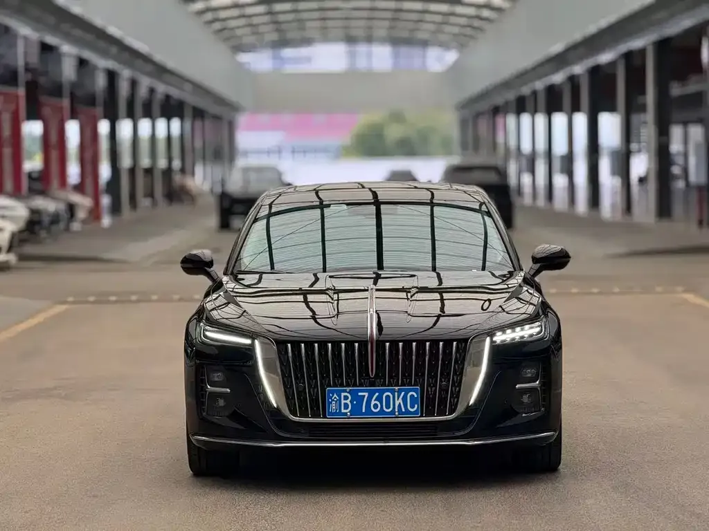 Hongqi H5 2024 из CN, фото 8