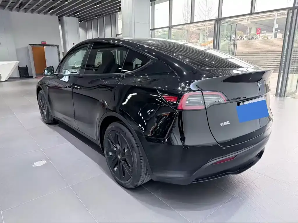Tesla Model Y — фото 2