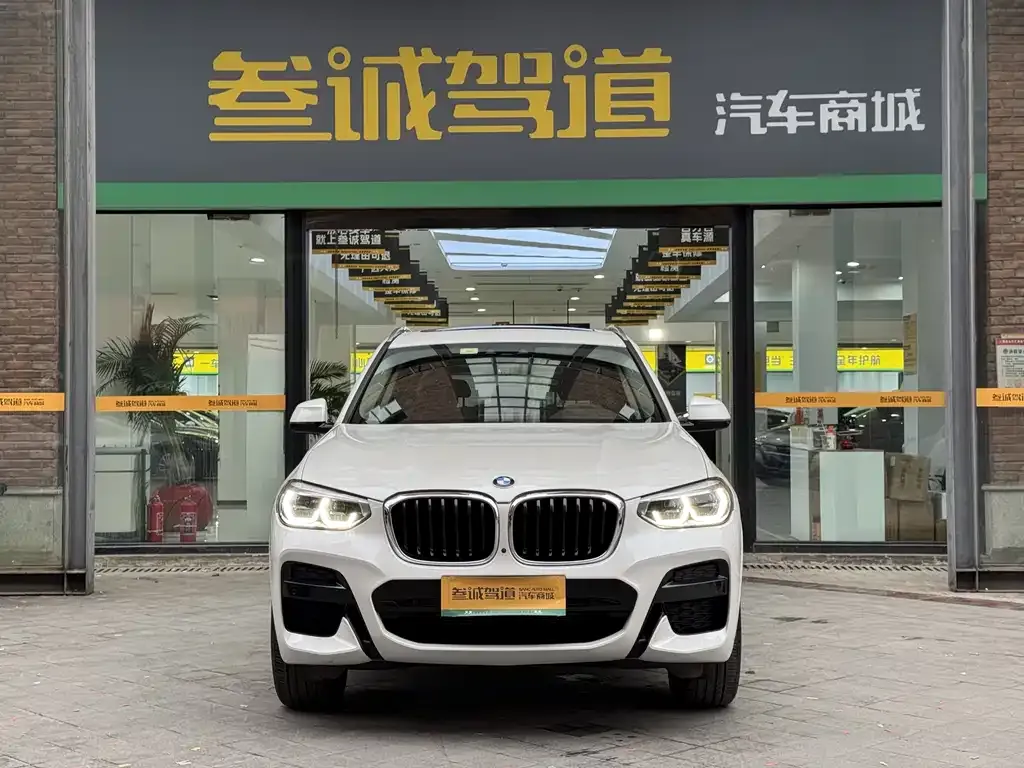 BMW X3 2021 из CN, фото 10
