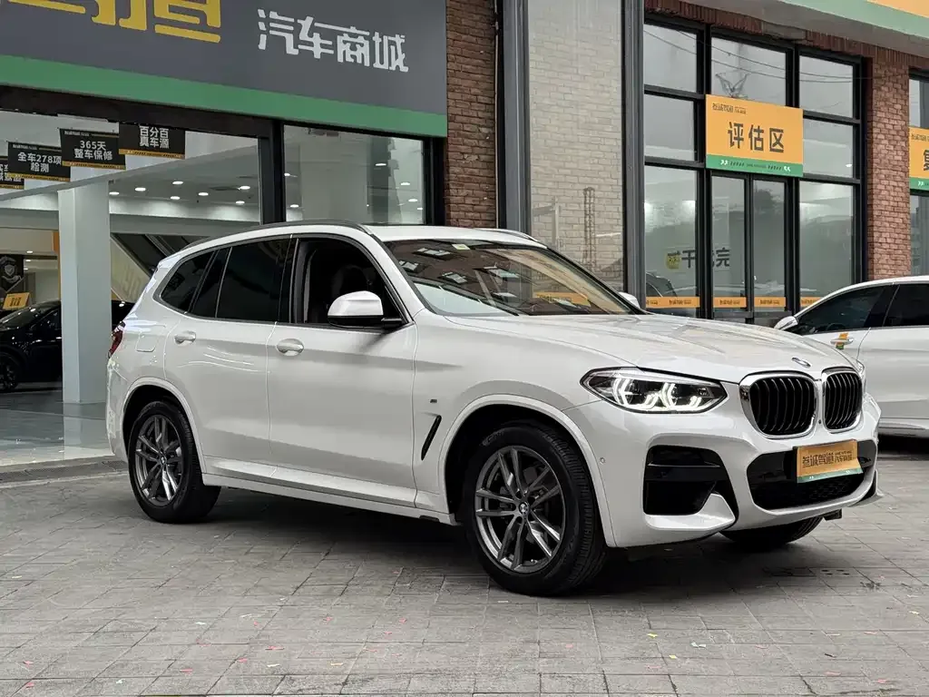 BMW X3 2021 из CN, фото 9