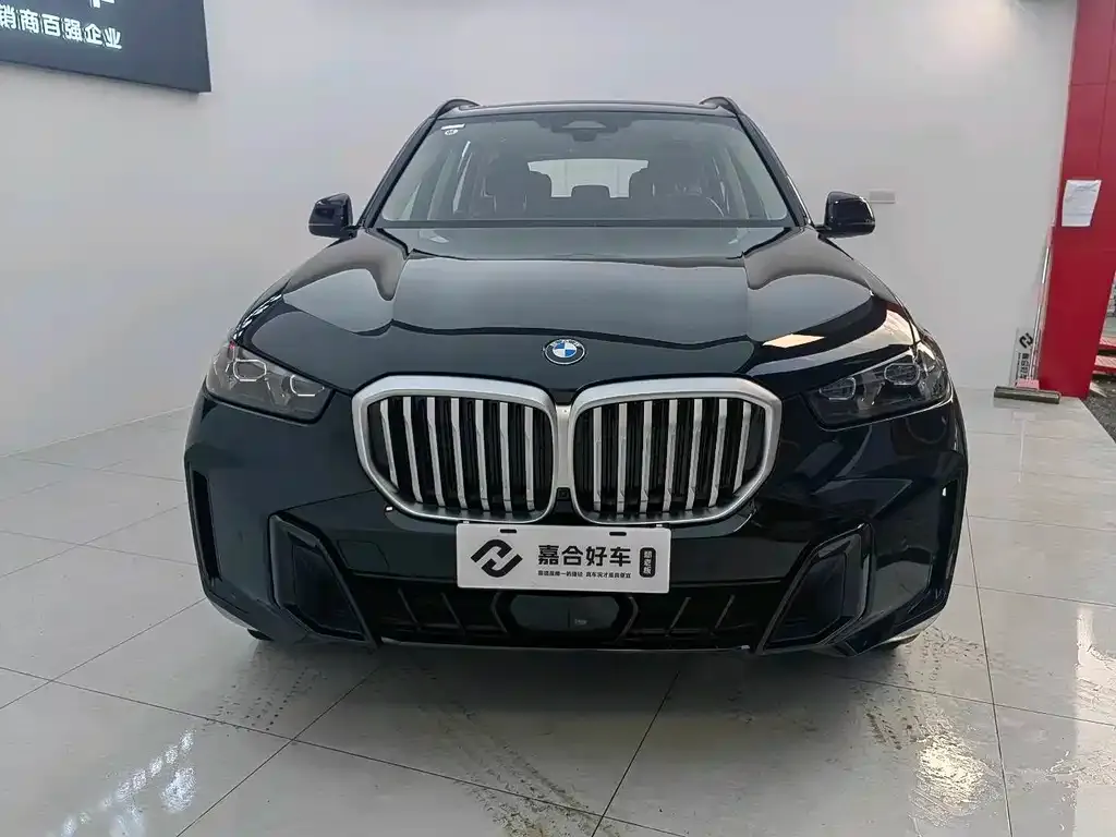 BMW X5 2025 из CN, фото 4