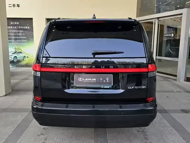 Lexus GX 2024 из CN, фото 4