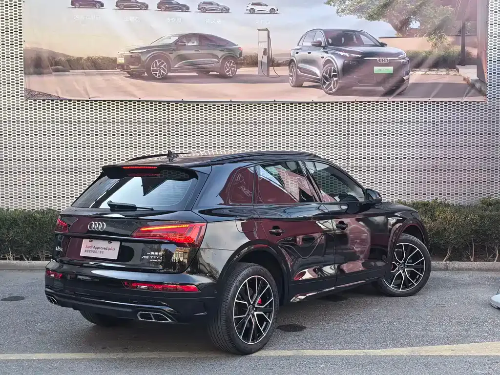 Audi Q5L 2024 из CN, фото 4