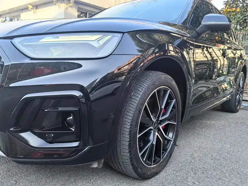 Audi Q5L 2024 из CN, фото 9