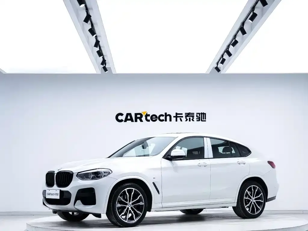 BMW X4 2021 из CN, фото 5