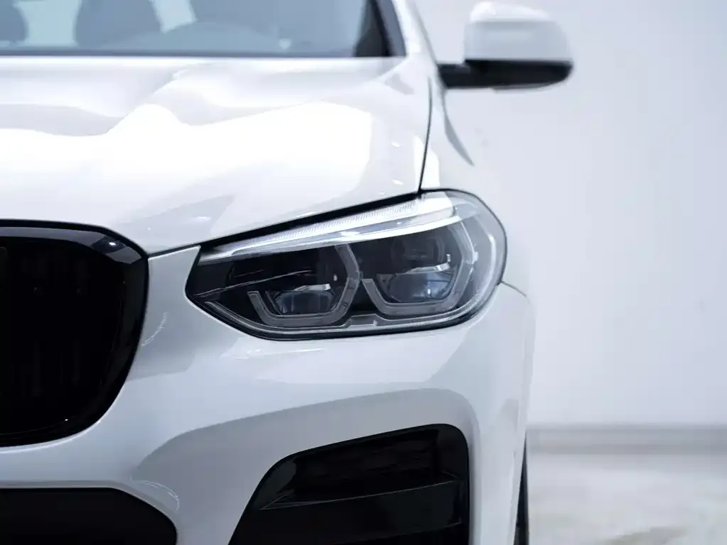 BMW X4 2021 из CN, фото 6