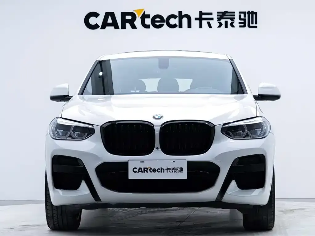 BMW X4 2021 из CN, фото 4