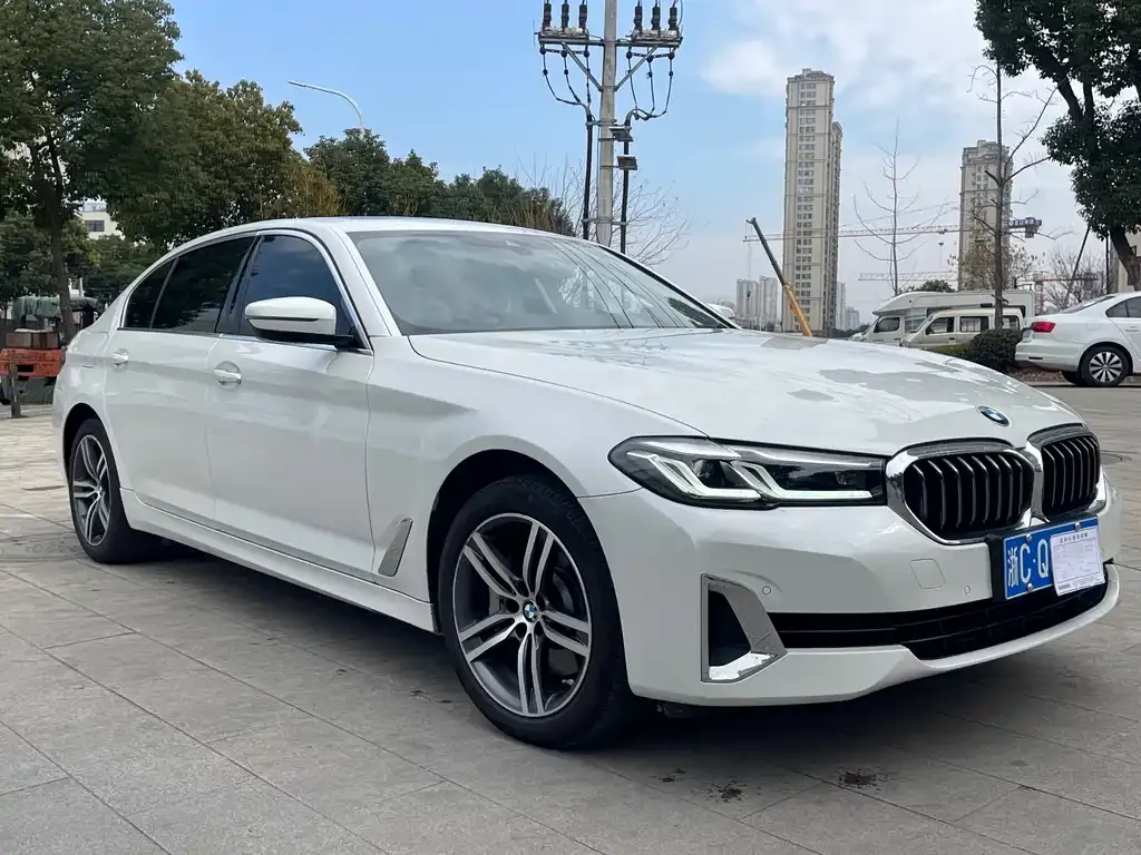 BMW 5 Series 2021 из CN, фото 4