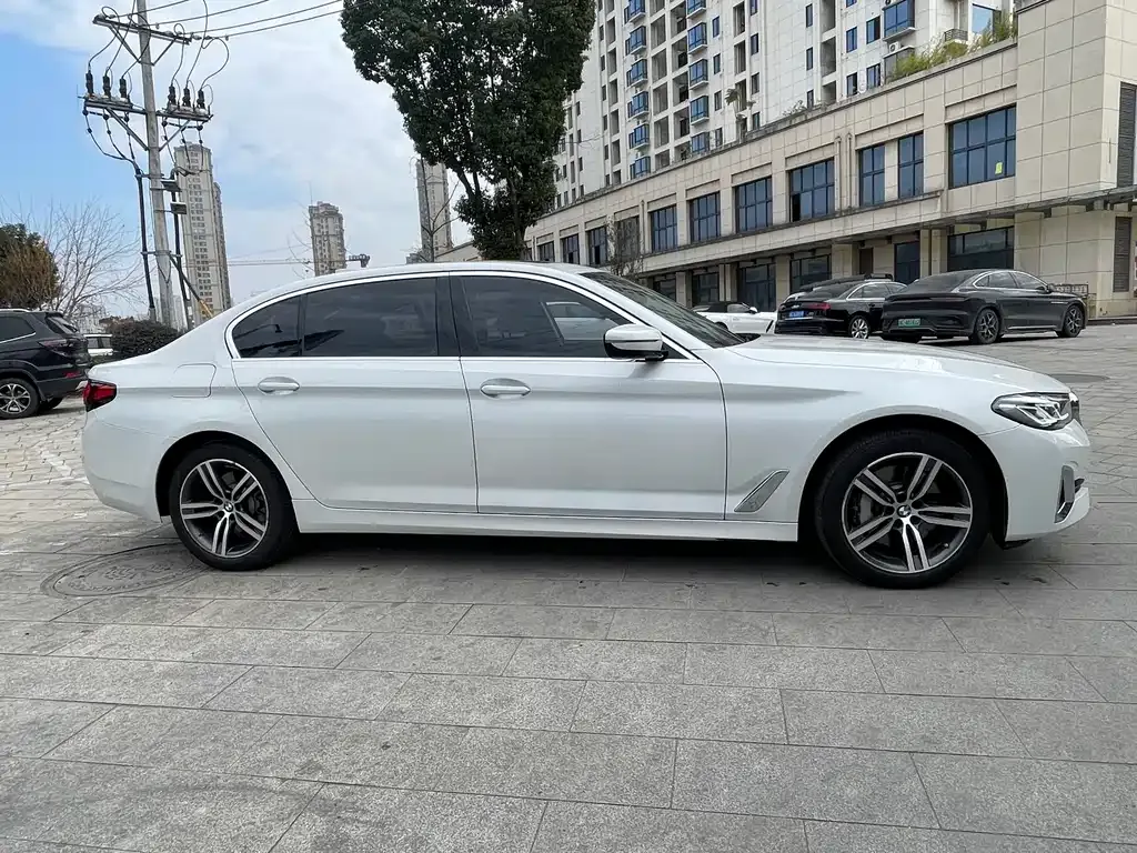 BMW 5 Series 2021 из CN, фото 7