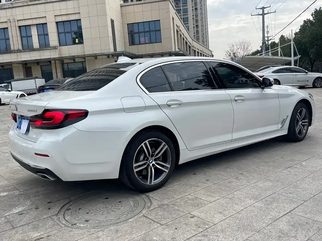 BMW 5 Series 2021 из CN, фото 10