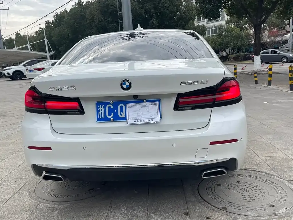 BMW 5 Series 2021 из CN, фото 3
