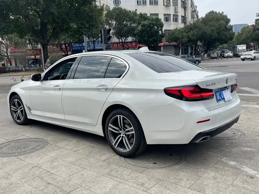 BMW 5 Series 2021 из CN, фото 9