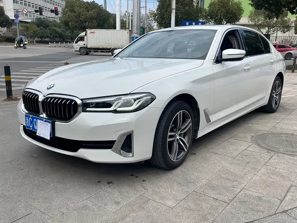 BMW 5 Series 2021 из CN, фото 8