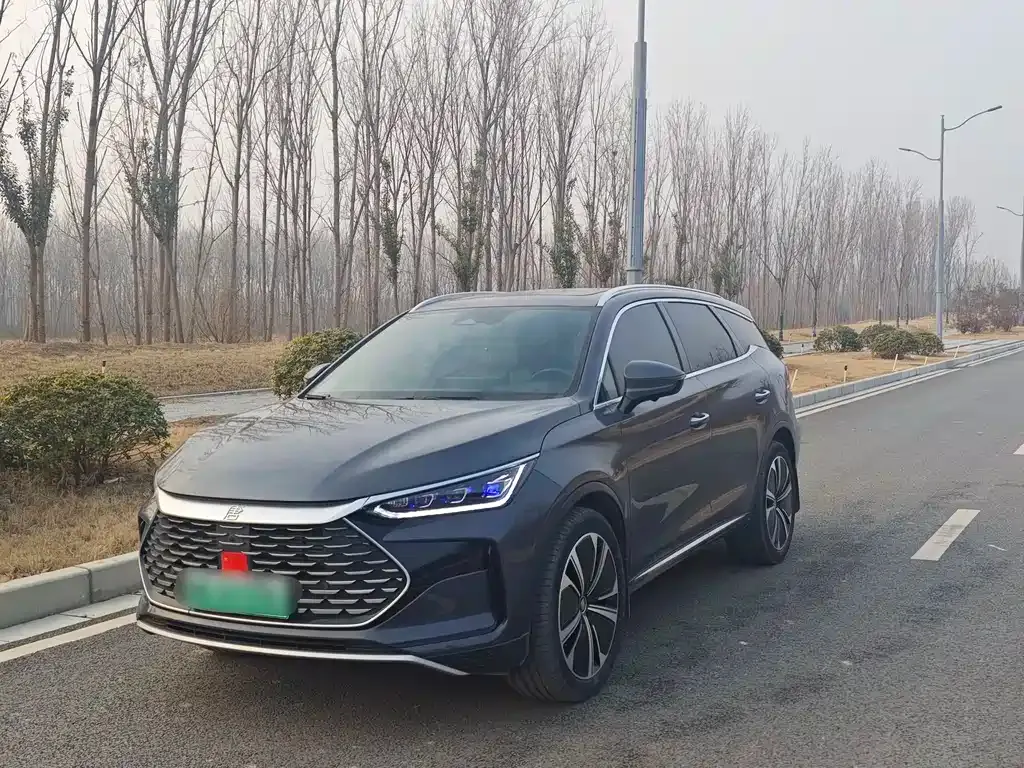 BYD Tang New Energy — фото 1