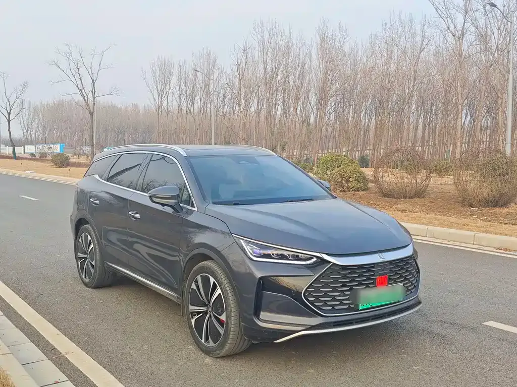 BYD Tang New Energy — фото 10