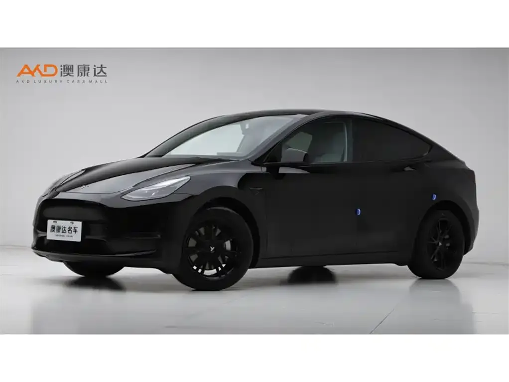 Tesla Model Y 2022 из CN, фото 1