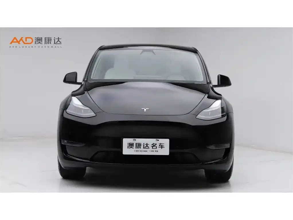 Tesla Model Y 2022 из CN, фото 5
