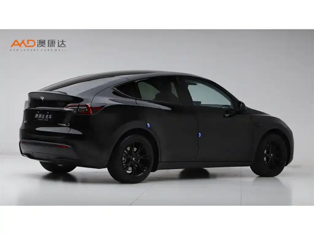 Tesla Model Y 2022 из CN, фото 7