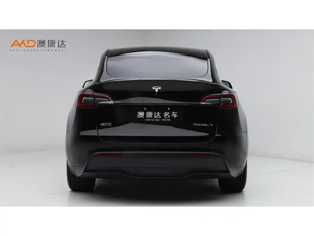 Tesla Model Y 2022 из CN, фото 3