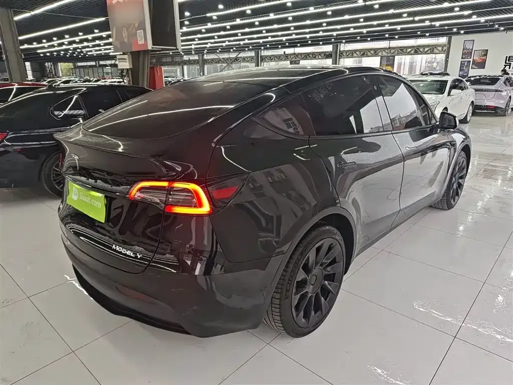 Tesla Model Y 2023 из CN, фото 8