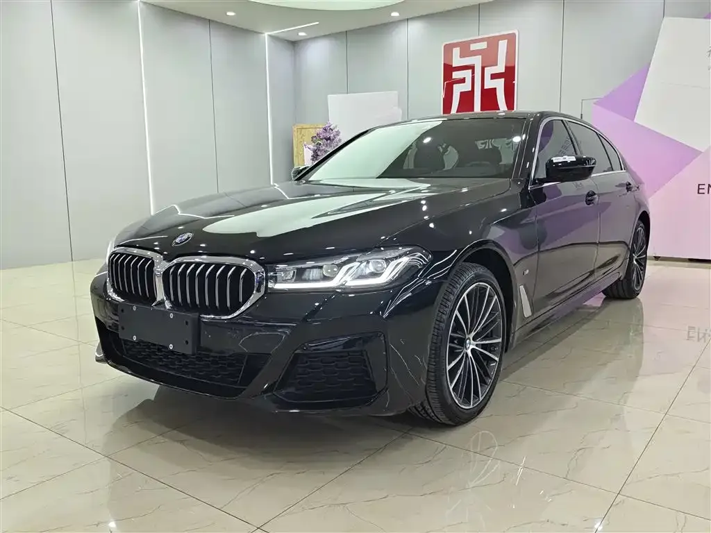 BMW 5 Series 2023 из CN, фото 1