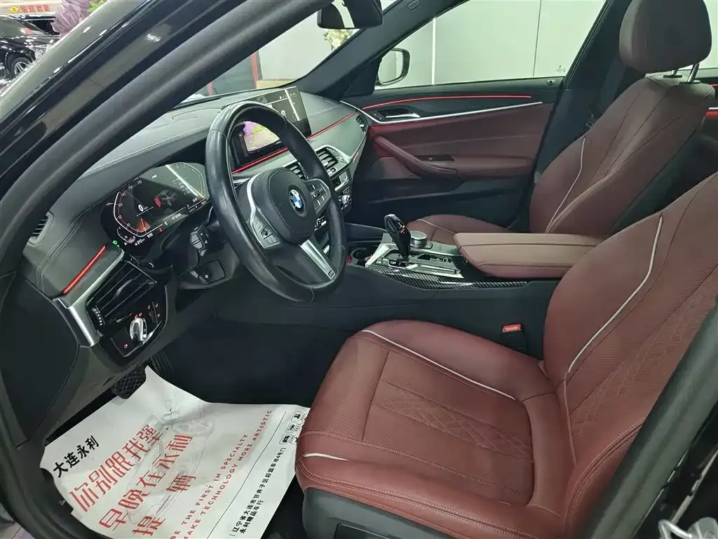 BMW 5 Series 2023 из CN, фото 9
