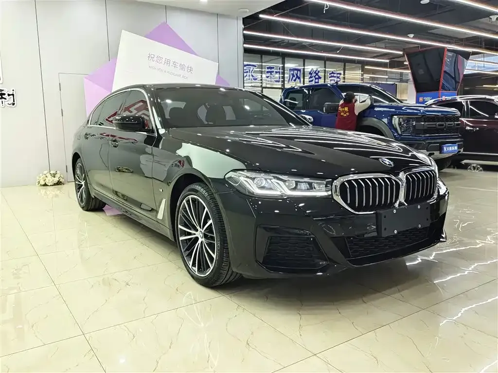 BMW 5 Series 2023 из CN, фото 7
