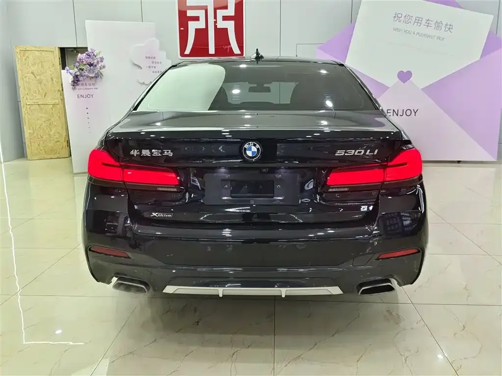 BMW 5 Series 2023 из CN, фото 8