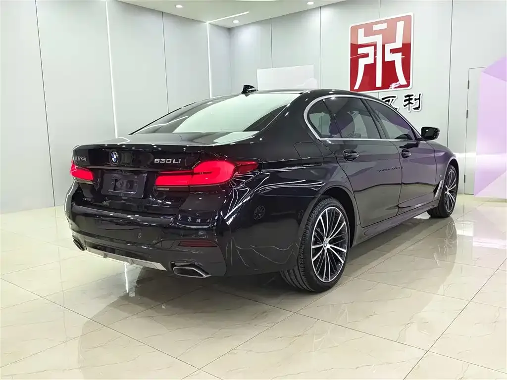 BMW 5 Series 2023 из CN, фото 3